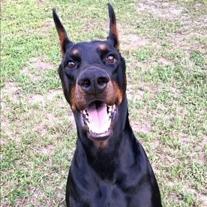 Meet your Posher, Caitlin